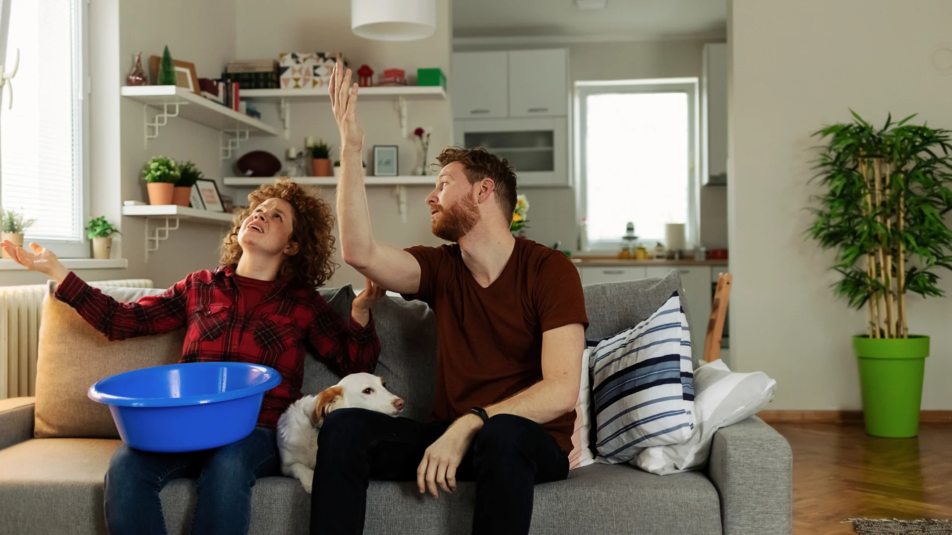 Top 5 Signs of a Leaking Roof & What To Do About It